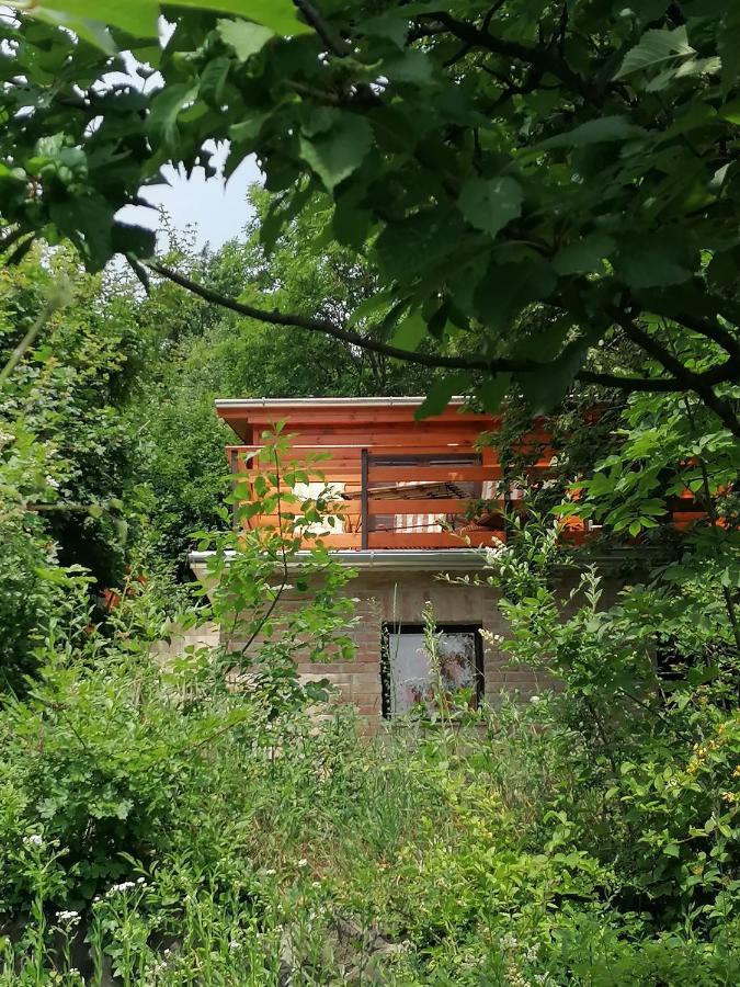 Barkoca Es Szepkilatas Vendeghaz / Cabin Verőcemaros 外观 照片