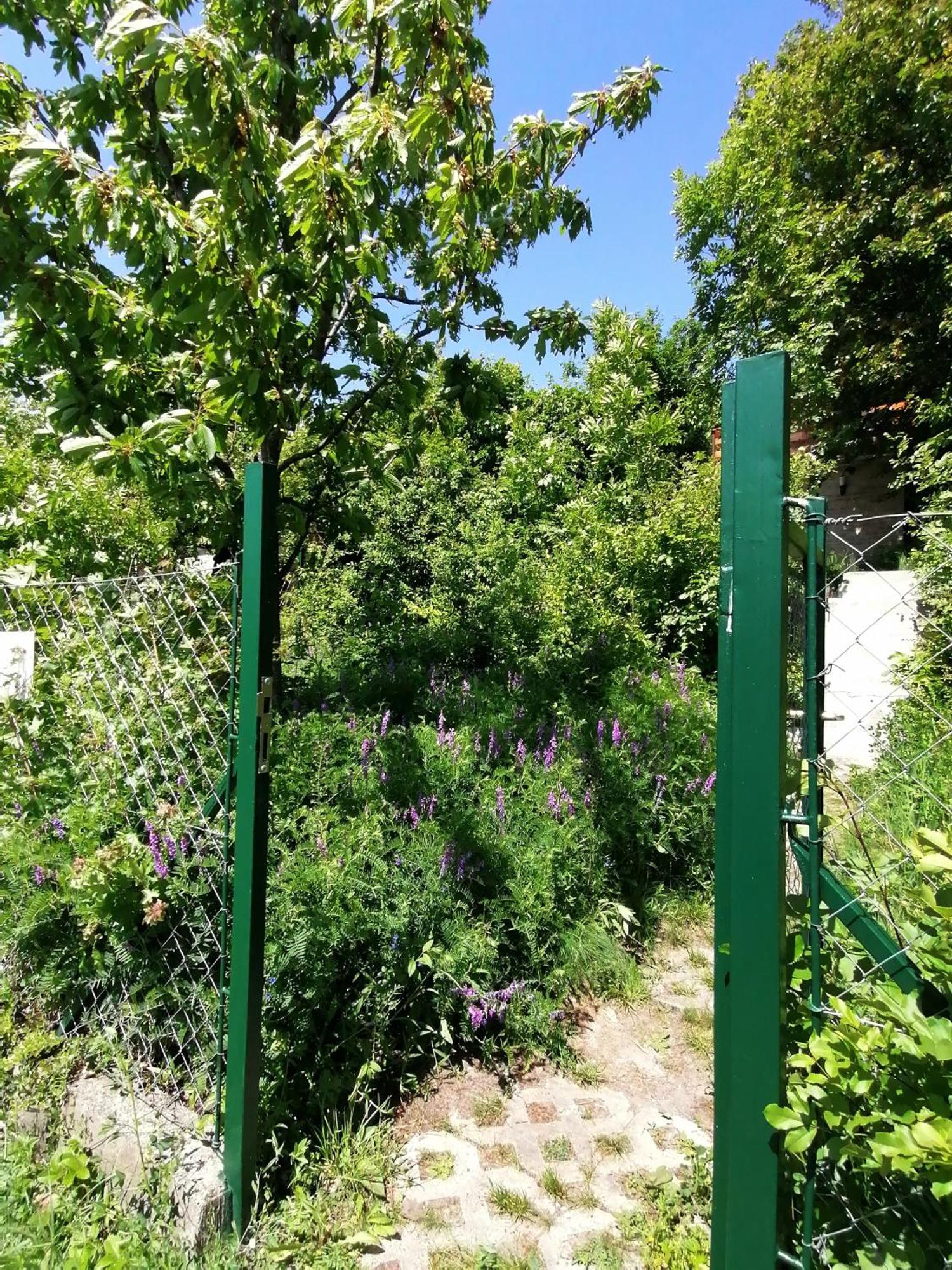 Barkoca Es Szepkilatas Vendeghaz / Cabin Verőcemaros 客房 照片
